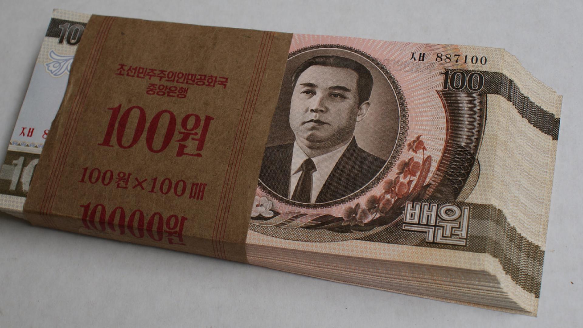 picture of N. Korean money