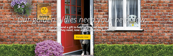 Screenshot of an online Dogs Trust campaign advert. Photo of a dog at the front door of a house that reads Our golden oldies need your help now. And a donate button.