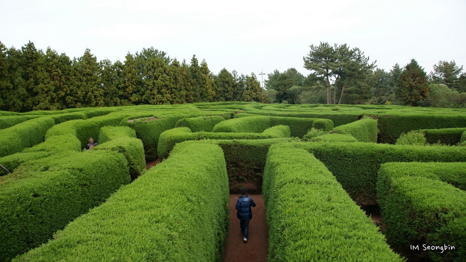 picture of an a-maz-ing maze